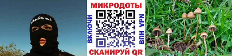 Галлюциногенные грибы ЛСД  сколько стоит  блэк спрут онион  Корсаков 