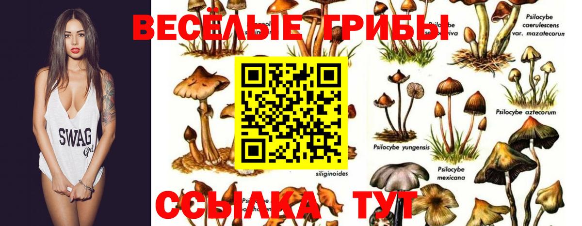 Галлюциногенные грибы прущие грибы Корсаков