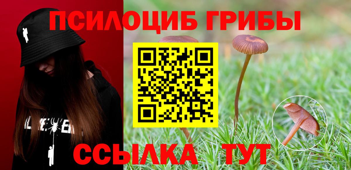 Корсаков  Псилоцибиновые грибы MAGIC MUSHROOMS  Вход с VPN 